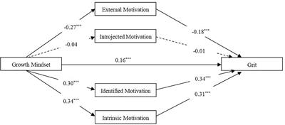 From Growth Mindset to Grit in Chinese Schools: The Mediating Roles of Learning Motivations